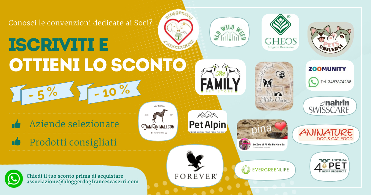Ditte partner