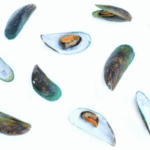 La Cozza Verde (Perna canaliculus) negli animali domestici