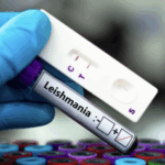 Leishmaniosi: Cos’è, Come Prevenirla e Curarla