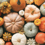 La zucca – Proprietà nutrizionali e benefici